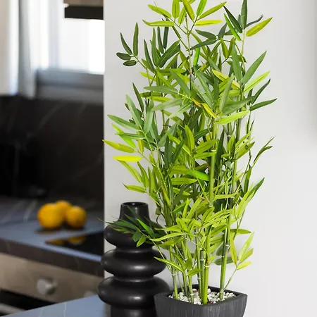 Apartamento Babylon Luxury No1 By Binobi!